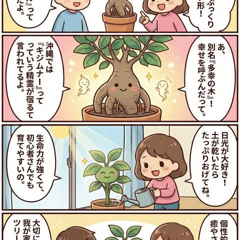 多幸の木ガジュマル