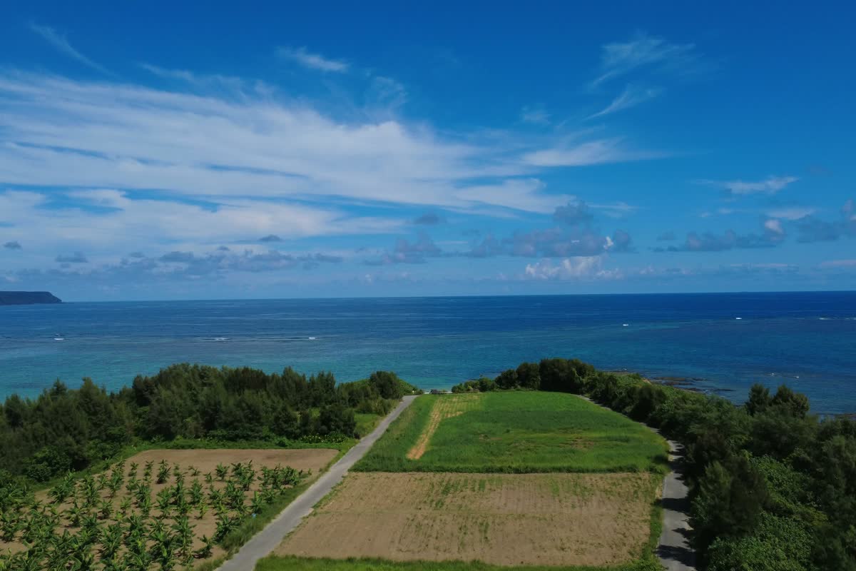 東村の畑と青い海（空撮）