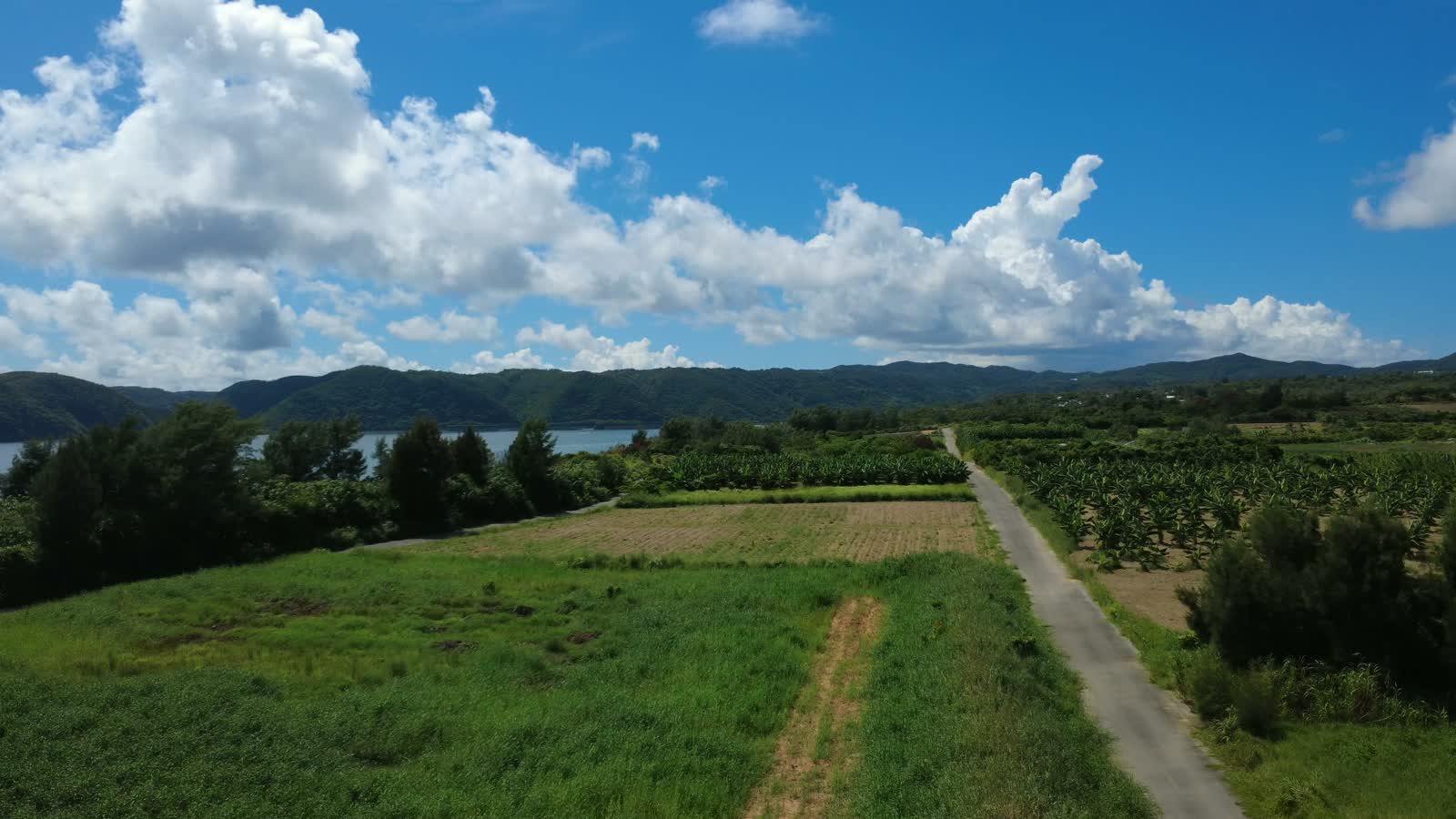やんばる・東村の農村風景（空撮）